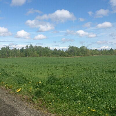 c0311170_23235263.jpg