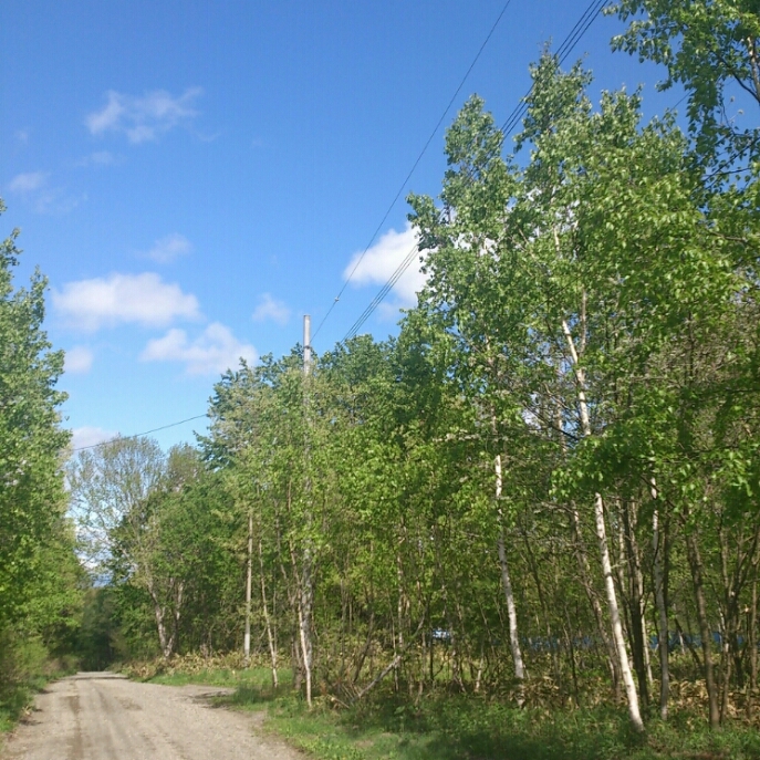 c0311170_2324115.jpg