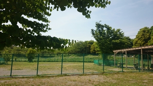 c0345972_07523884.jpg