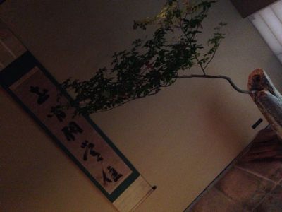 初夏皐月の京都倶楽部Vol.2_e0326573_1610920.jpg