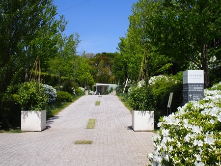 c0318376_23470895.jpg