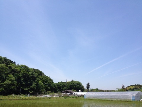 c0343177_09395607.jpg
