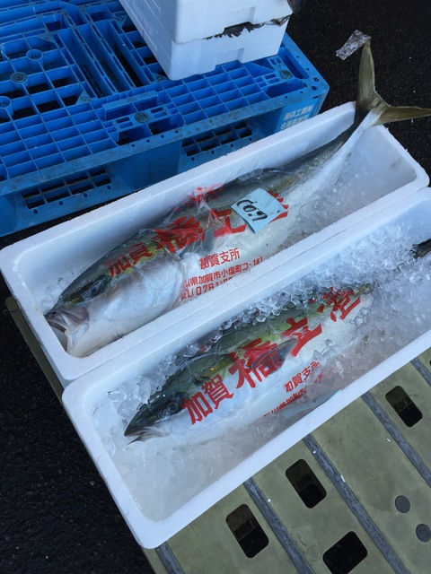 市場でお花買い_d0182179_190962.jpg