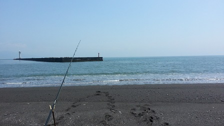 5月20日三保釣り_f0228680_9565254.jpg