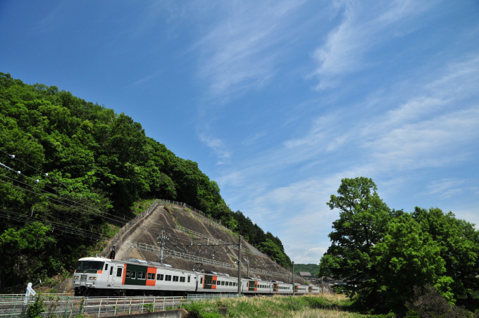 天候に恵まれたゴールデンウィーク　両毛線に大藤まつりの列車2015　その２_d0248784_21144395.jpg