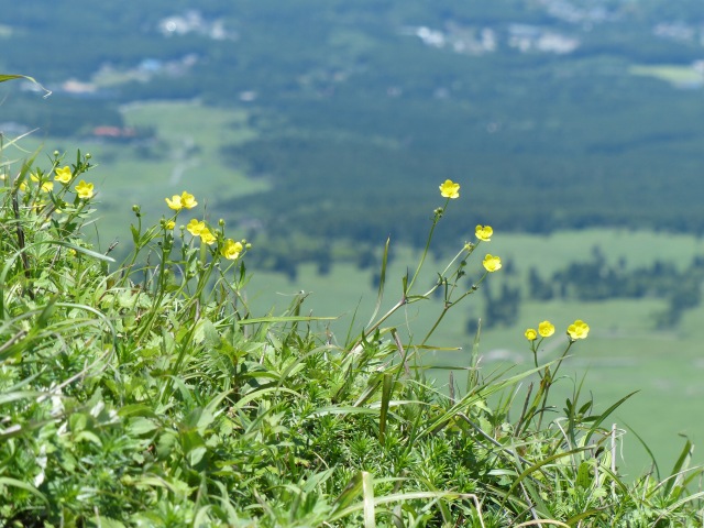 f0357487_0555.jpg