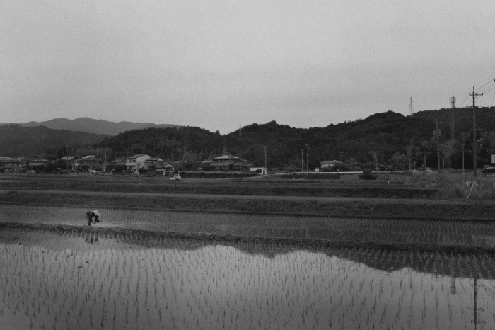 a0200696_17184594.gif
