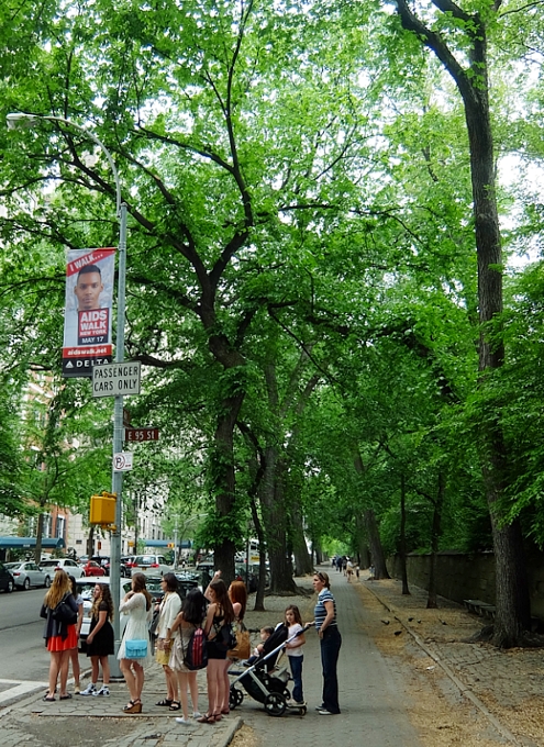 新緑の緑の美しいNYの美術館通り(Museum Mile)、6/9に恒例のフェスティバルも_b0007805_10583354.jpg