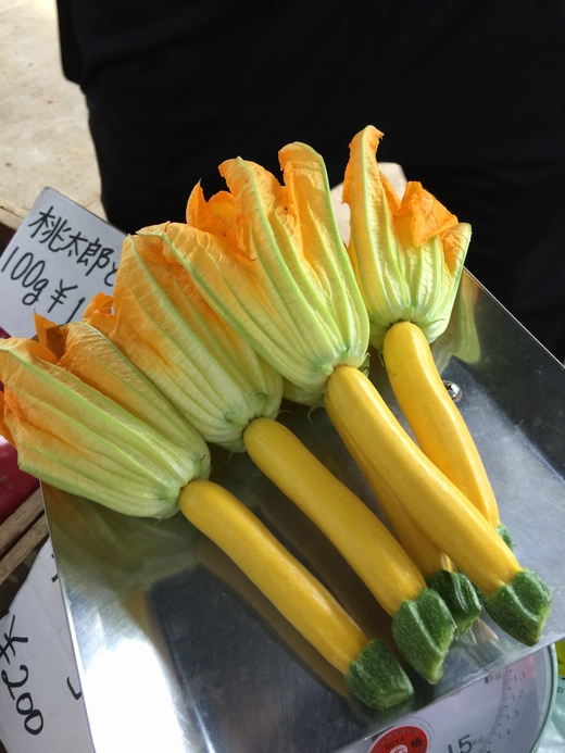 鎌倉野菜_c0130206_14521212.jpg