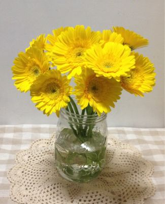 紫陽花はじめ_e0239908_21222872.jpg