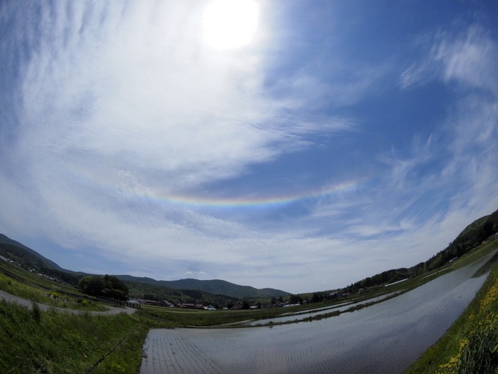 北広島宝探し講座2015「新緑のブナ林と山野草」その1(大歳神社)_c0116915_23524577.jpg
