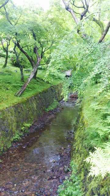 c0317717_01463194.jpg