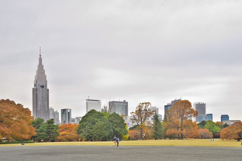 今年最後かな・・・紅葉・・・新宿御苑_c0158519_01085119.jpg