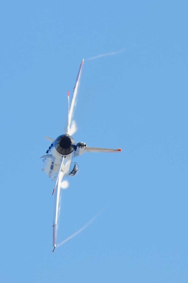 2013岐阜基地航空祭　　　Ｆ-2機動飛行編_c0158519_01130141.jpg