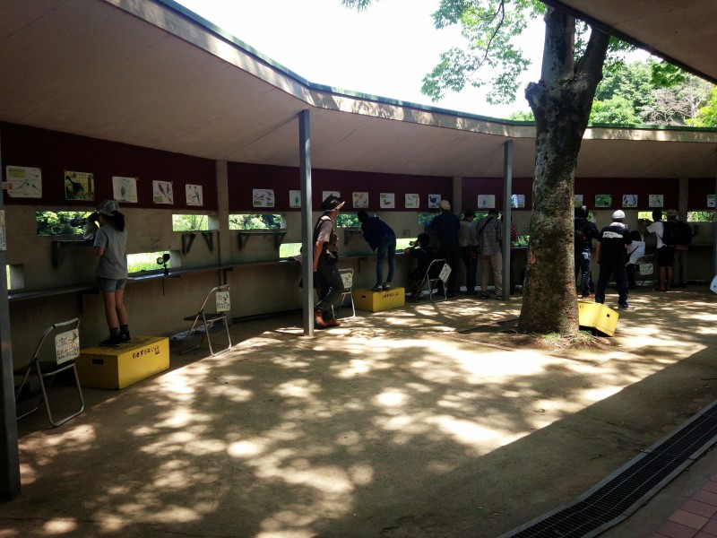 光が丘公園バードサンクチュアリー ホーク編 Fly Away 光が丘公園バードサンクチュアリー ホーク編 Fly Away