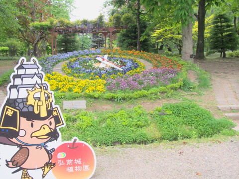 弘前城植物園ハンカチツリー*2015.05.20_b0147224_1947543.jpg