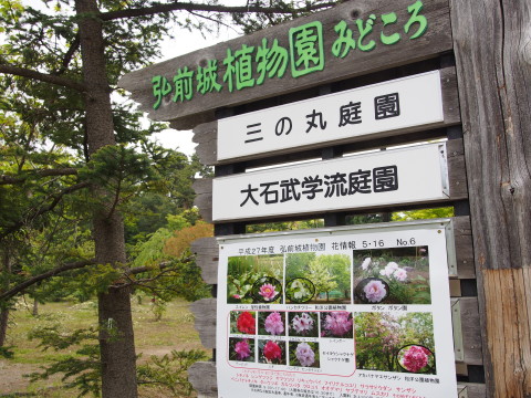 弘前城植物園ハンカチツリー*2015.05.20_b0147224_1949269.jpg