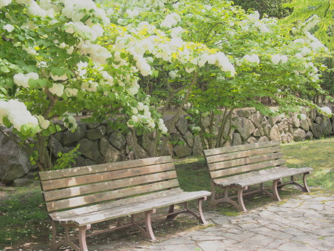 b0147224_200511.jpg