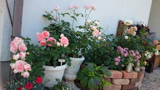 e0263224_02210553.jpg