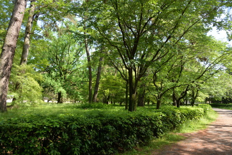 e0335926_23131726.jpg