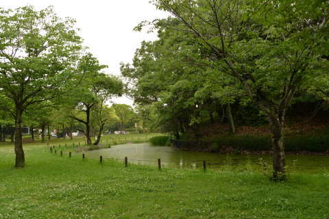 e0335926_23223746.jpg