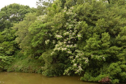 e0335926_23322000.jpg
