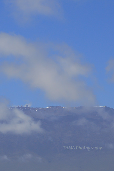 c0024729_21073752.jpg