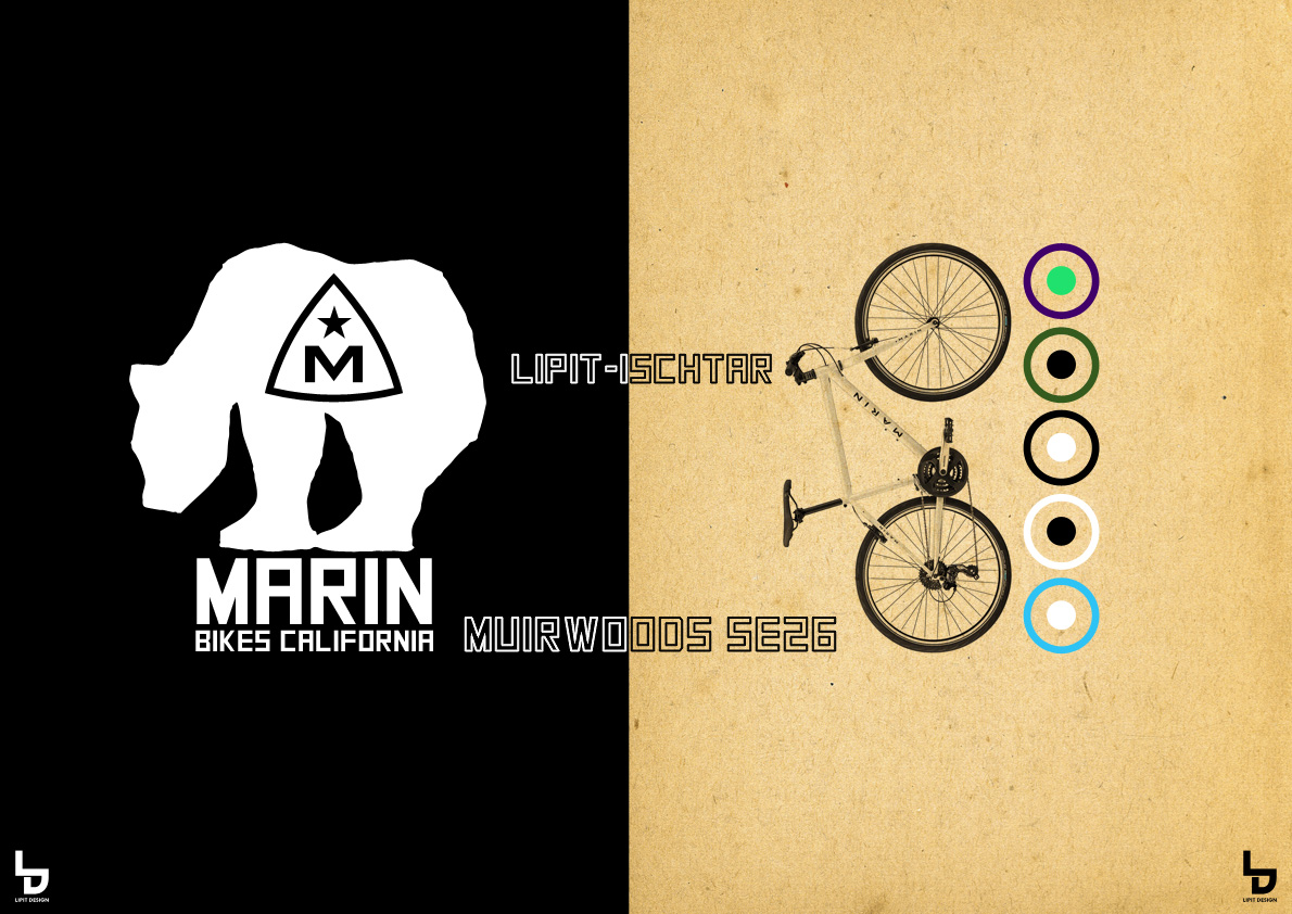 「MARIN」マリン x リピト ミュアウッズ 自転車 おしゃれ自転車 オシャレ自転車 自転車女子 クロスバイク_b0212032_19413929.jpg