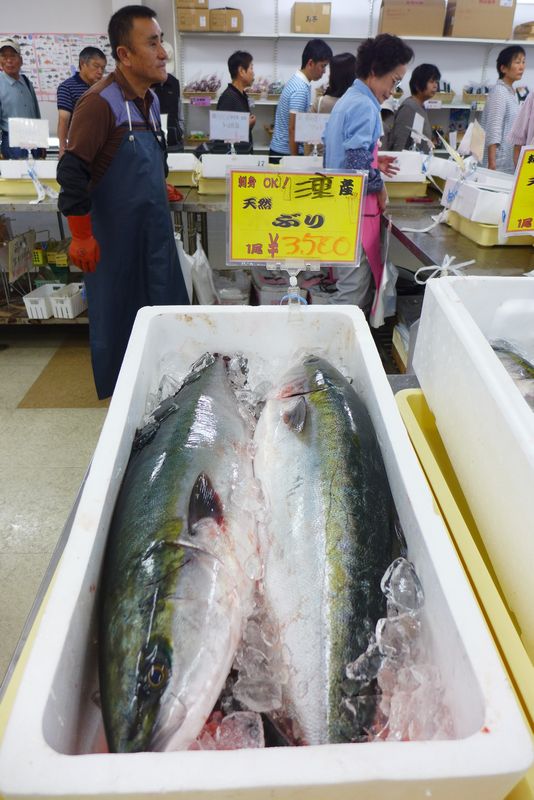 白子漁港直売所 魚魚鈴 ととりん さん カフェ Nest さん 三重県 くま先生の滋賀が大好き