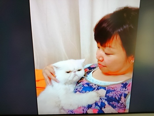 おれ、ねこ_d0152937_19370680.jpg