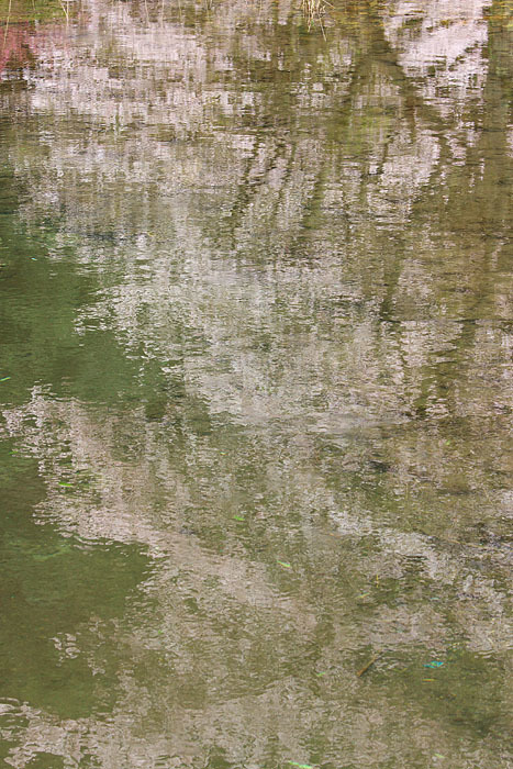 c0067040_13295676.jpg