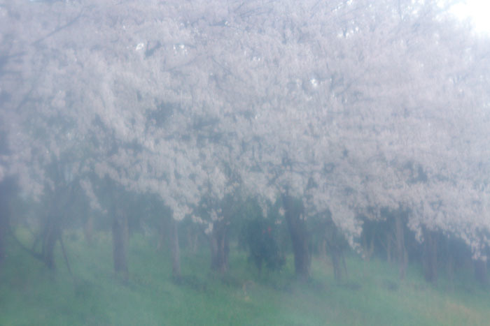 c0067040_13310334.jpg