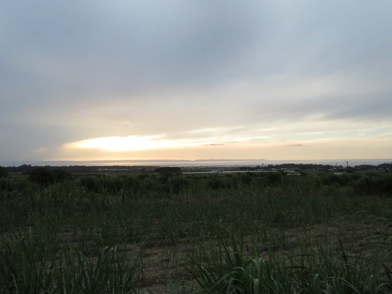 b0288942_815888.jpg