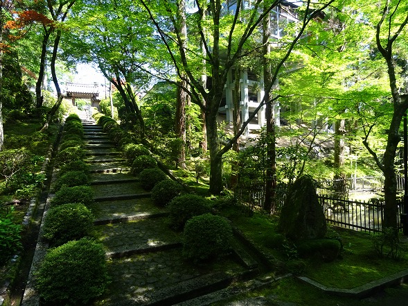 霊山寺の青紅葉_b0299042_1005074.jpg