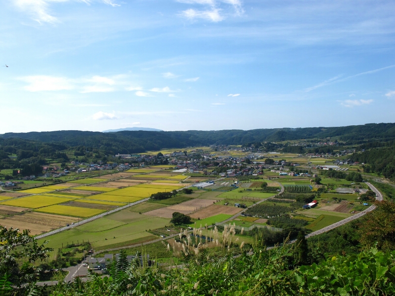 f0339053_0393898.jpg
