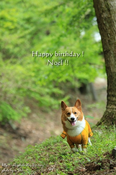 Happy happy birthday*_e0342760_00484738.jpg