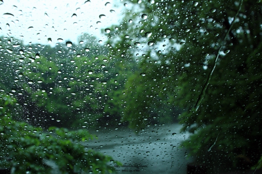 雨降る森の小さな湖で 1 Hi Ka Ri