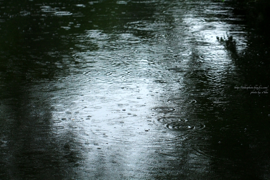 e0342760_00530404.jpg