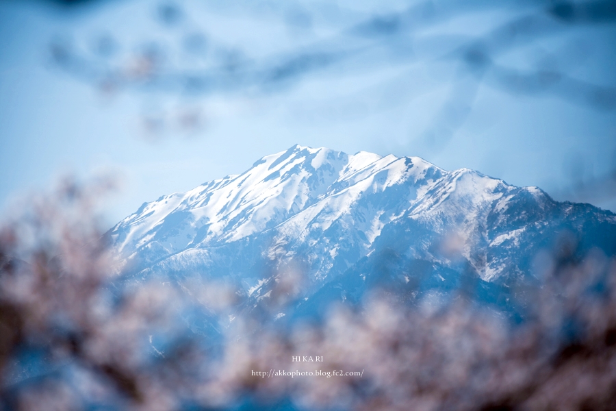 雪山×桜×祭  #1_e0342760_01063319.jpg