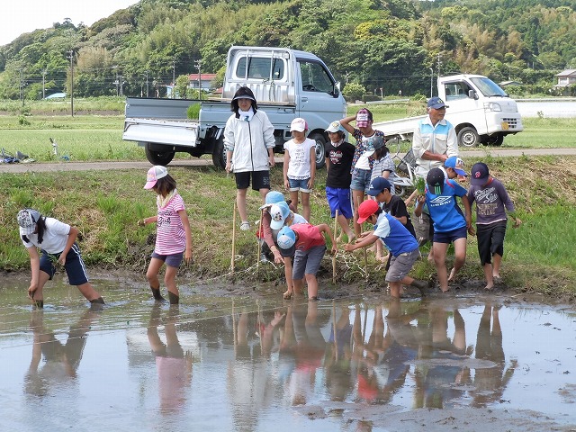 田植え_b0197668_14351742.jpg