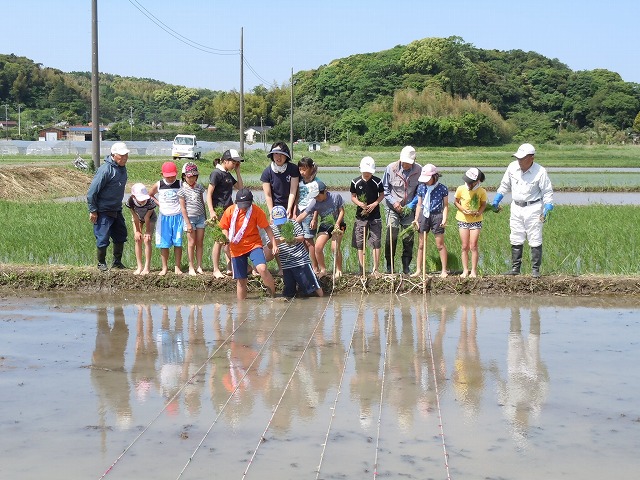 田植え_b0197668_1435945.jpg