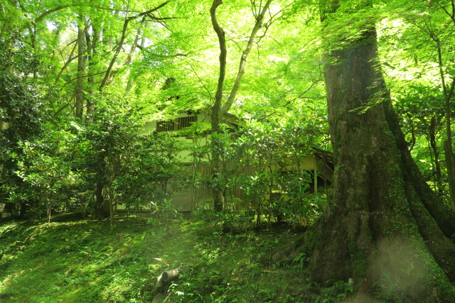 新緑の石山寺_b0055171_224245.jpg