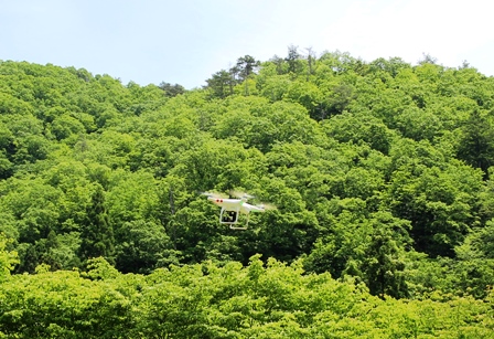空からくつきの森を見てみよう 山里くつきフォトレター 空からくつきの森を見てみよう 山里くつきフォトレター