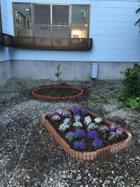 市場でお花買い_d0182179_035218.jpg
