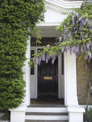 Wisteria floribunda_d0089685_1555320.jpg