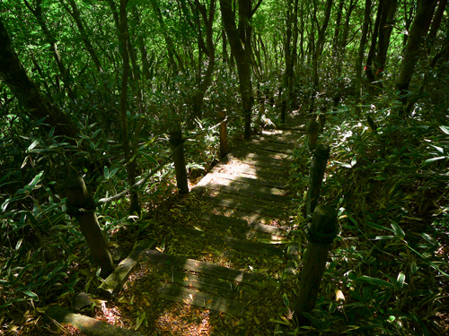 c0168986_10531576.jpg
