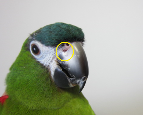 f0234590_15362197.png