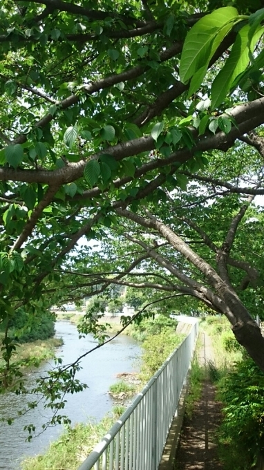 a0119795_15182383.jpg