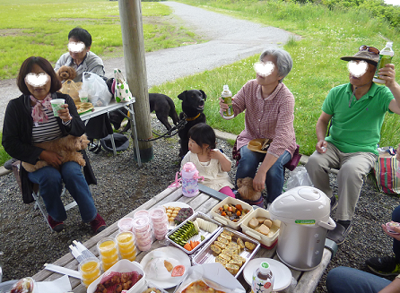d0282395_21331027.png