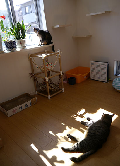 d0071596_1813204.jpg